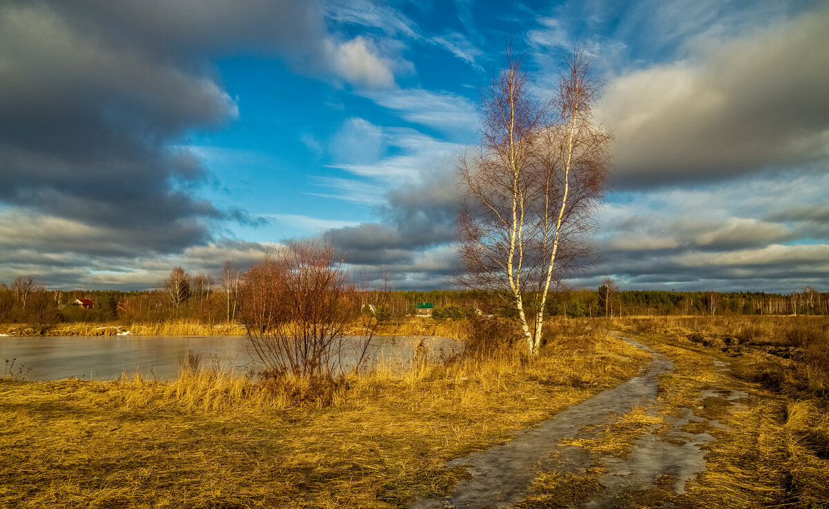 Вот такая зима в Подмосковье 2025 - Андрей Дворников