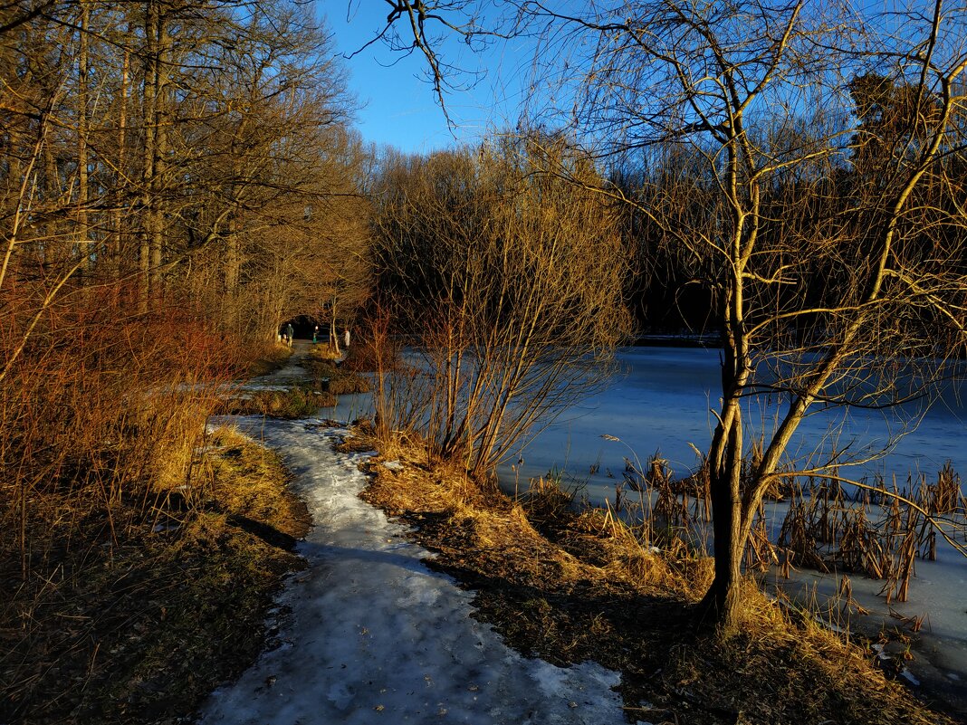 С Крещение Господним! - Андрей Лукьянов С Крещение Господним! - Андрей Лукьянов