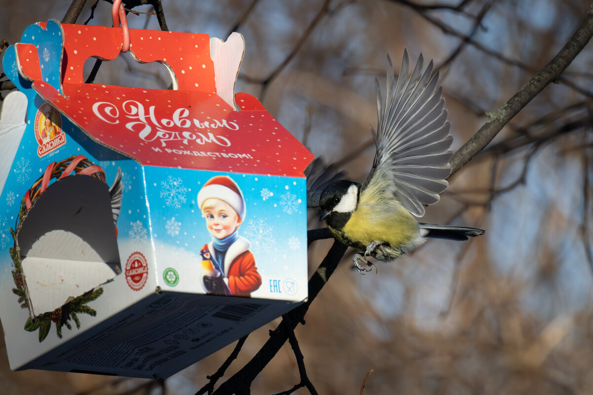 Посадку давай! - Сергей Брюшинин