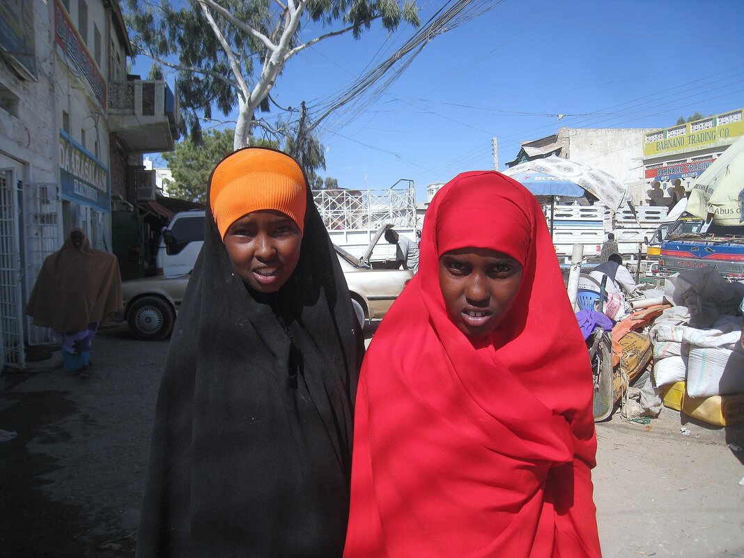 Сомалийские девчата из Харгейсы. - unix (Илья Утропов) Сомалийские девчата из Харгейсы. - unix (Илья Утропов)