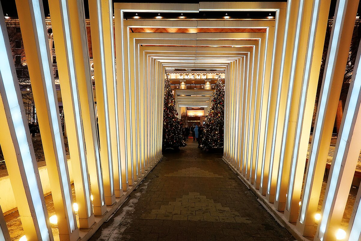 Позади все новогодние праздники. - Татьяна Помогалова Позади все новогодние праздники. - Татьяна Помогалова