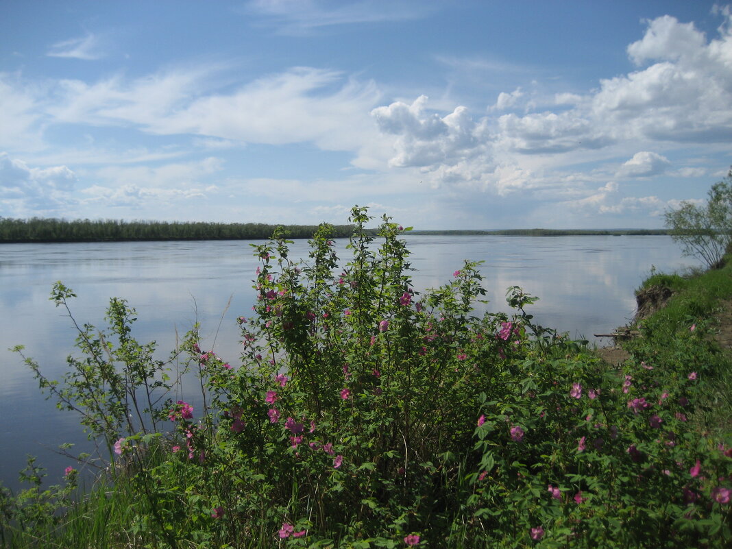 Лето - Anna Ivanova Лето - Anna Ivanova