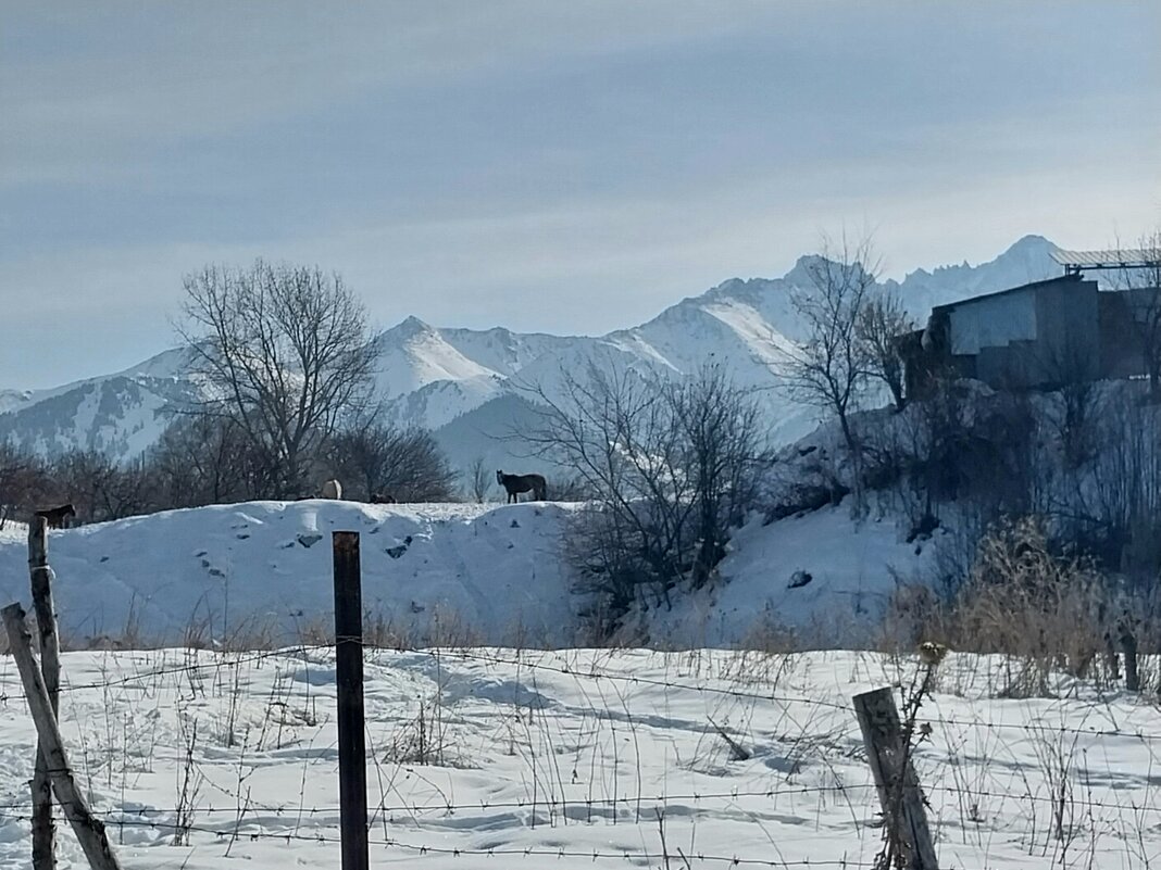 Talgar. - Murat Bukaev Talgar. - Murat Bukaev