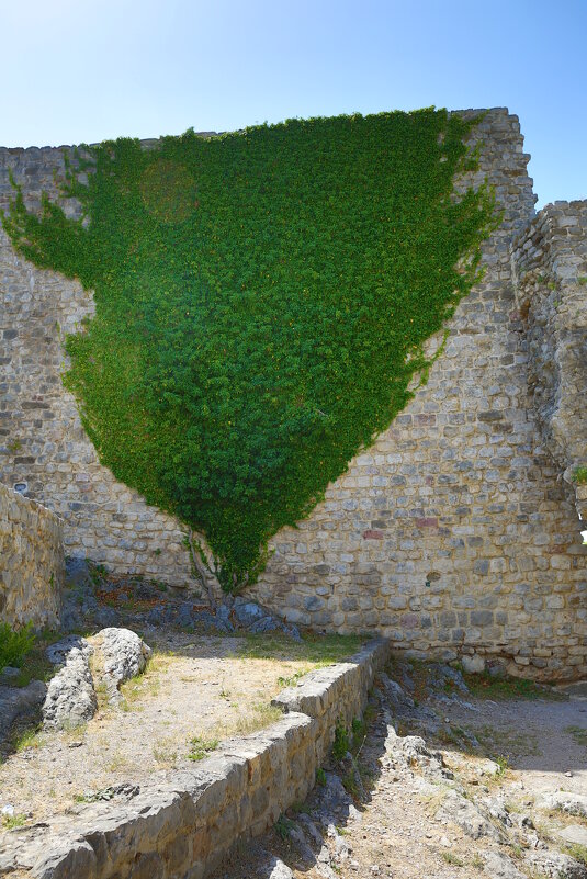 Заросло - Евгений + Заросло - Евгений +