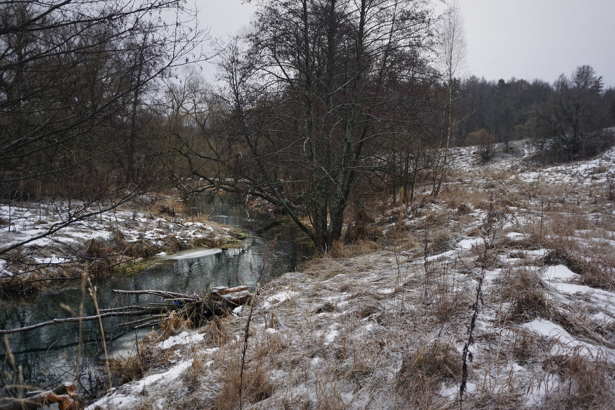 Иней вместо снега - sorovey Sol