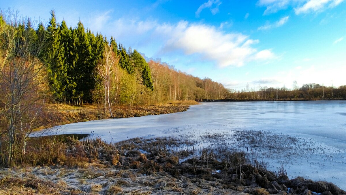 Зимний пейзаж (репортаж из поездок по области). - Милешкин Владимир Алексеевич Зимний пейзаж (репортаж из поездок по области). - Милешкин Владимир Алексеевич
