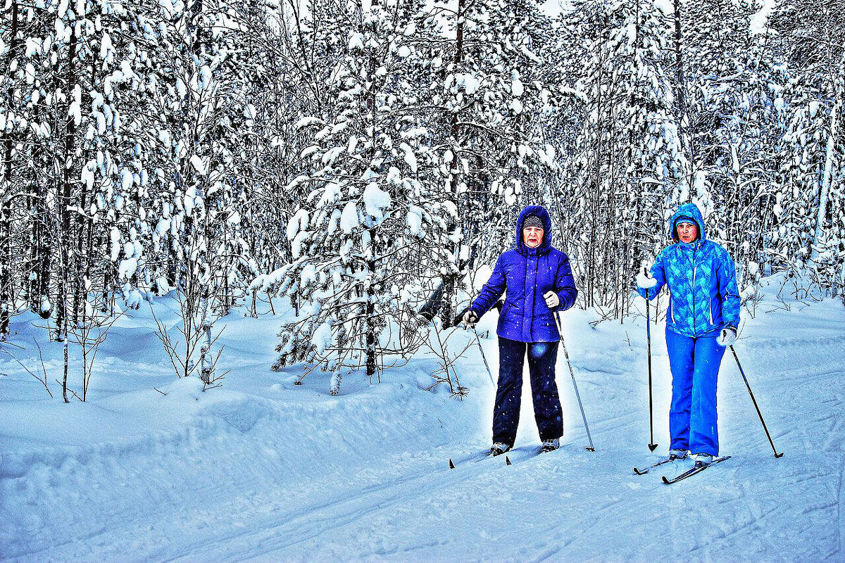 В сказочном новогоднем лесу! - Владимир 