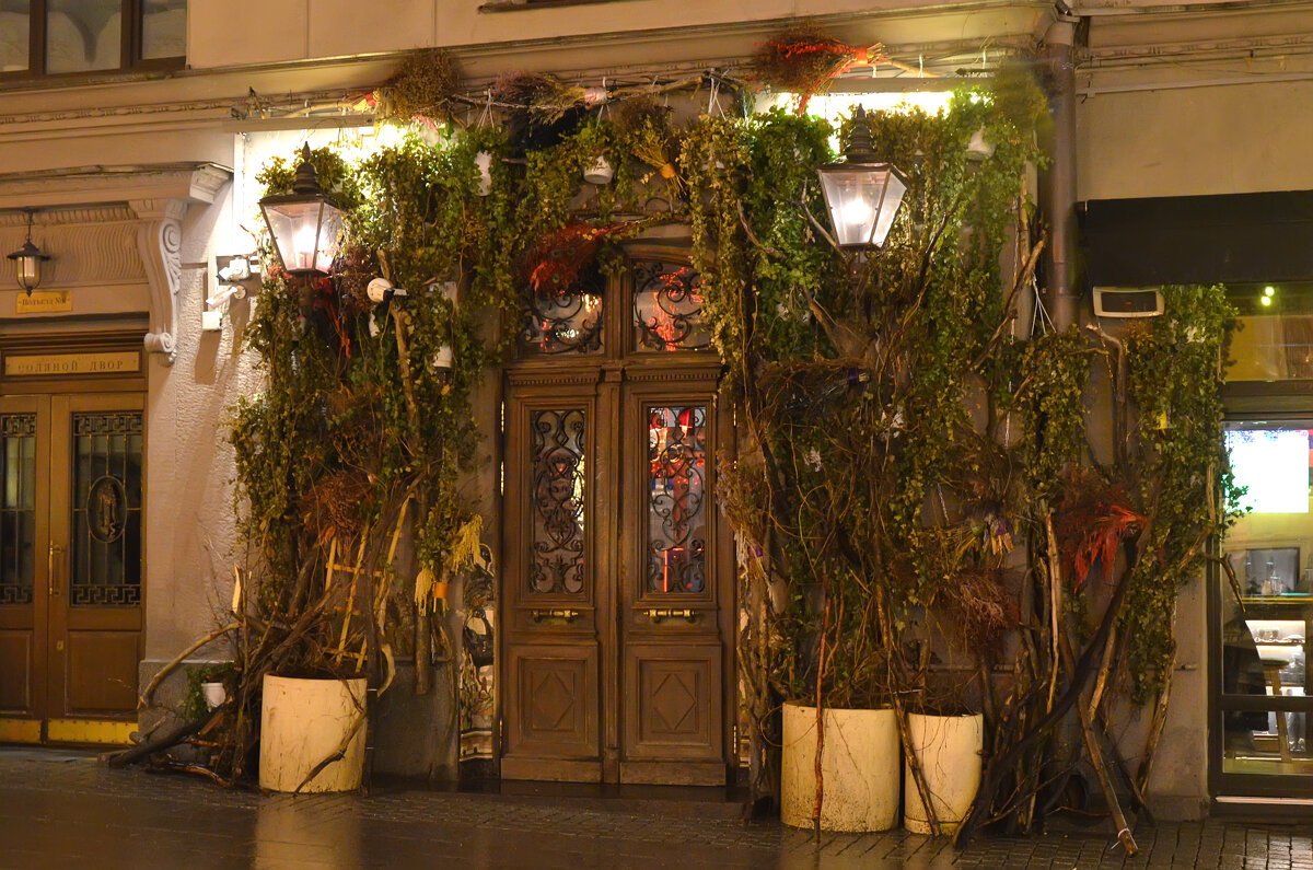 Новогодняя Москва. - Наташа ***** Новогодняя Москва. - Наташа *****