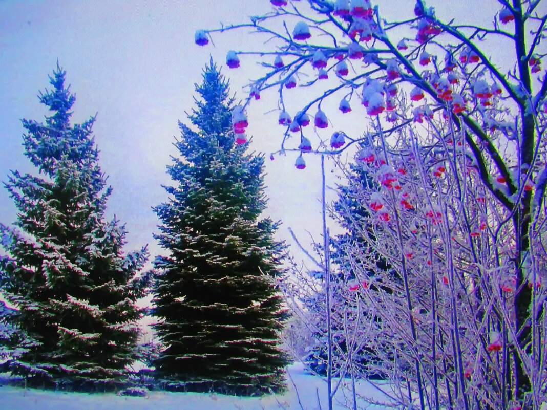 В лесу - Людмила Смородинская В лесу - Людмила Смородинская