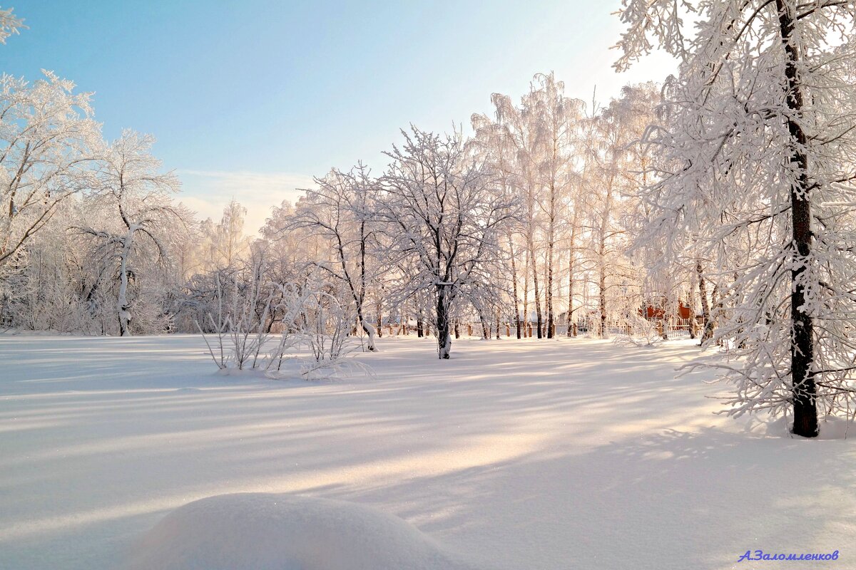 На рассветах января... - Андрей Заломленков На рассветах января... - Андрей Заломленков