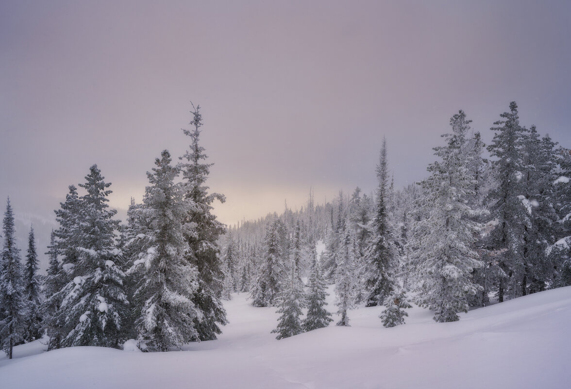 * - Александр Иванов * - Александр Иванов