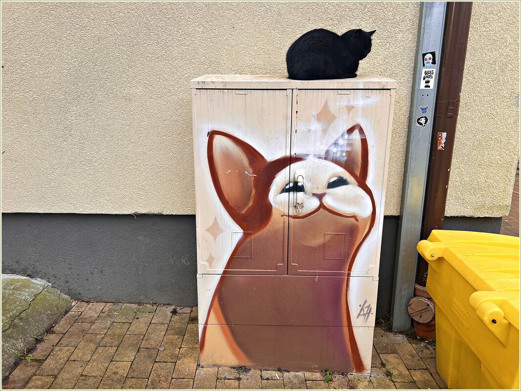 Котики любят тумбы. - Валерия Комова Котики любят тумбы. - Валерия Комова