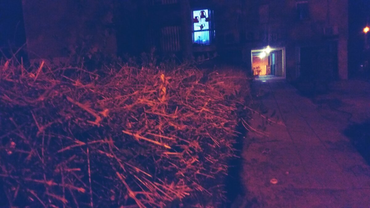 12  КЛОС (412) - CLOSE WAYS ALL