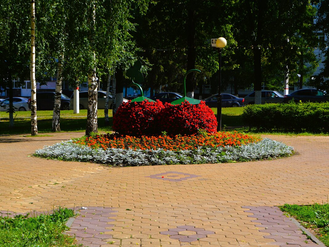 Чебоксары. Клумба Студенческого сквера. - Пётр Чернега Чебоксары. Клумба Студенческого сквера. - Пётр Чернега