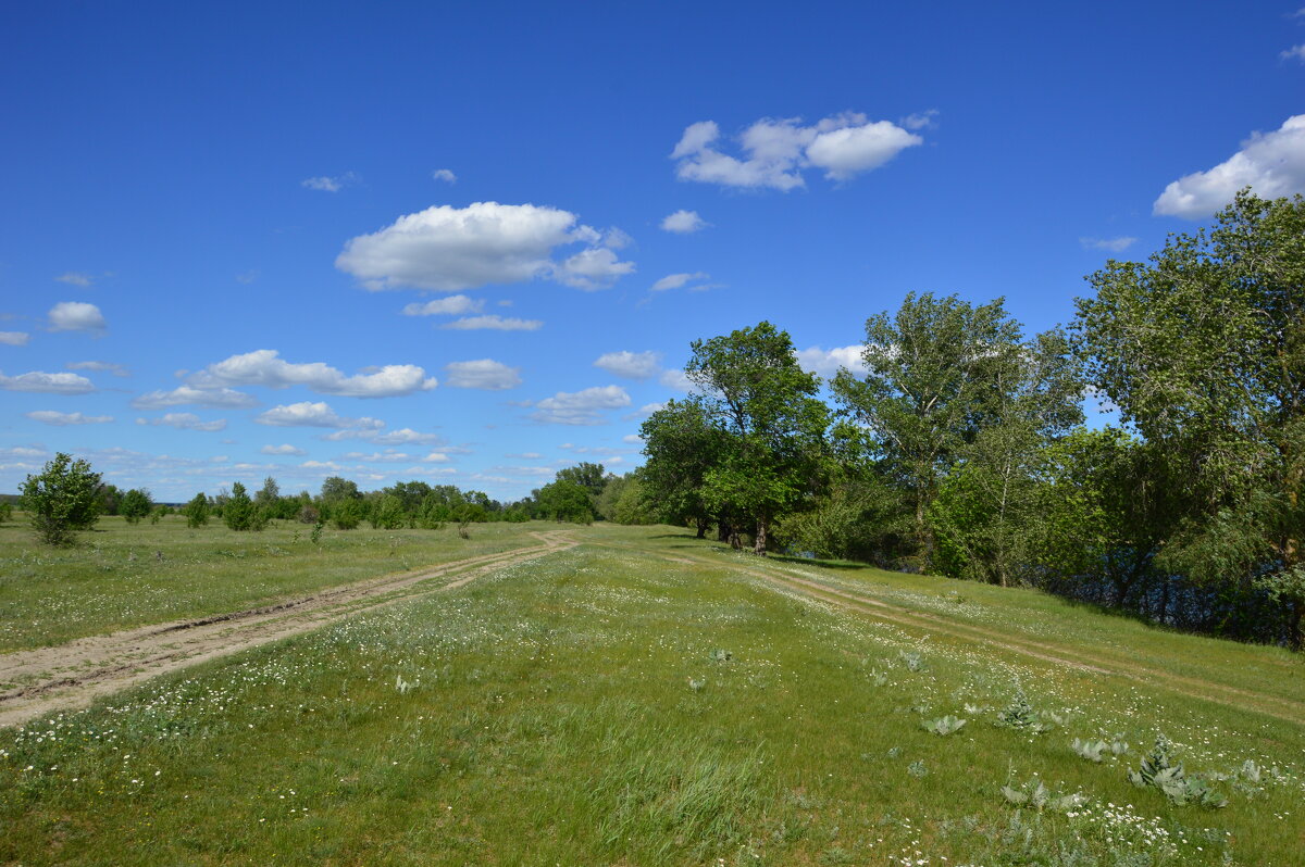 Донские виды. - Виктор 