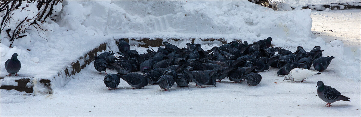 Есть хочется - Александр Тарноградский Есть хочется - Александр Тарноградский