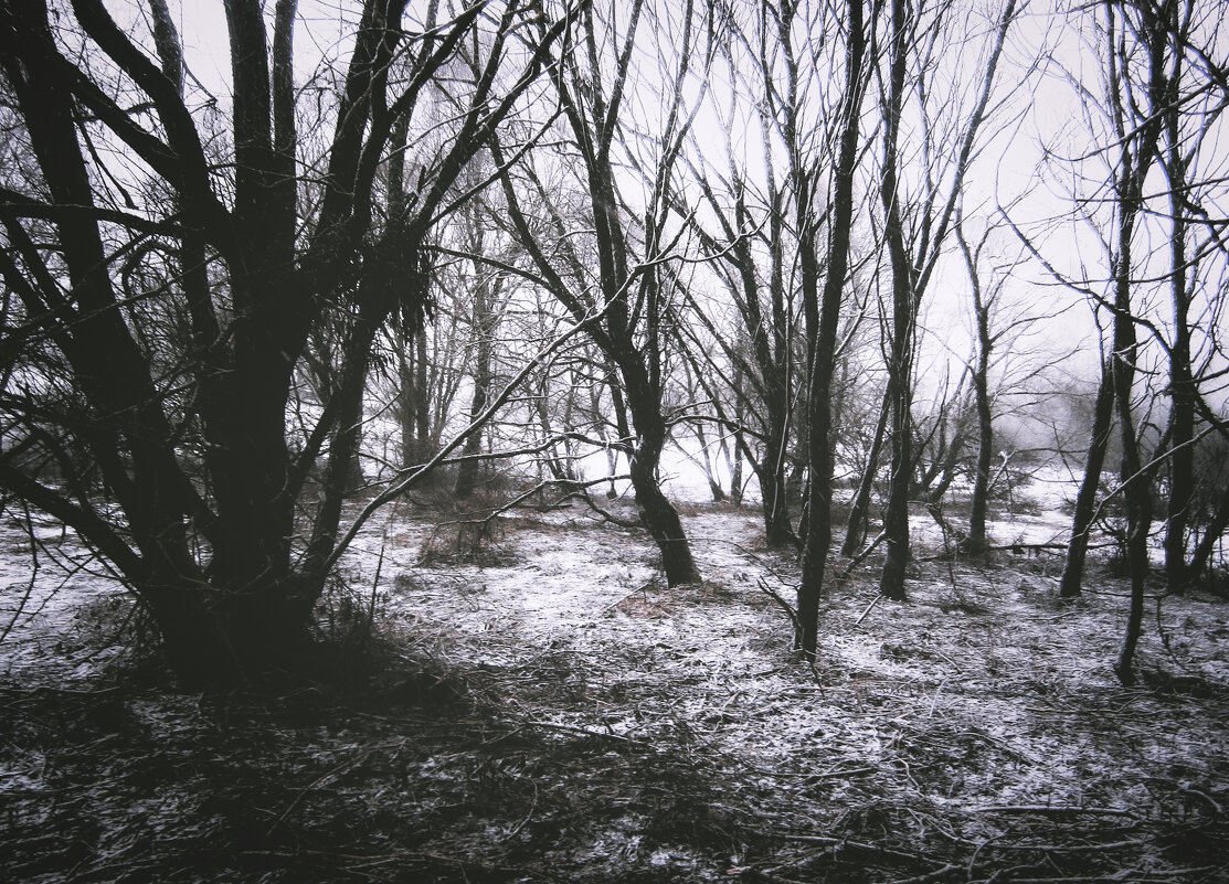 Жирятинский район - Sergei Vikulov