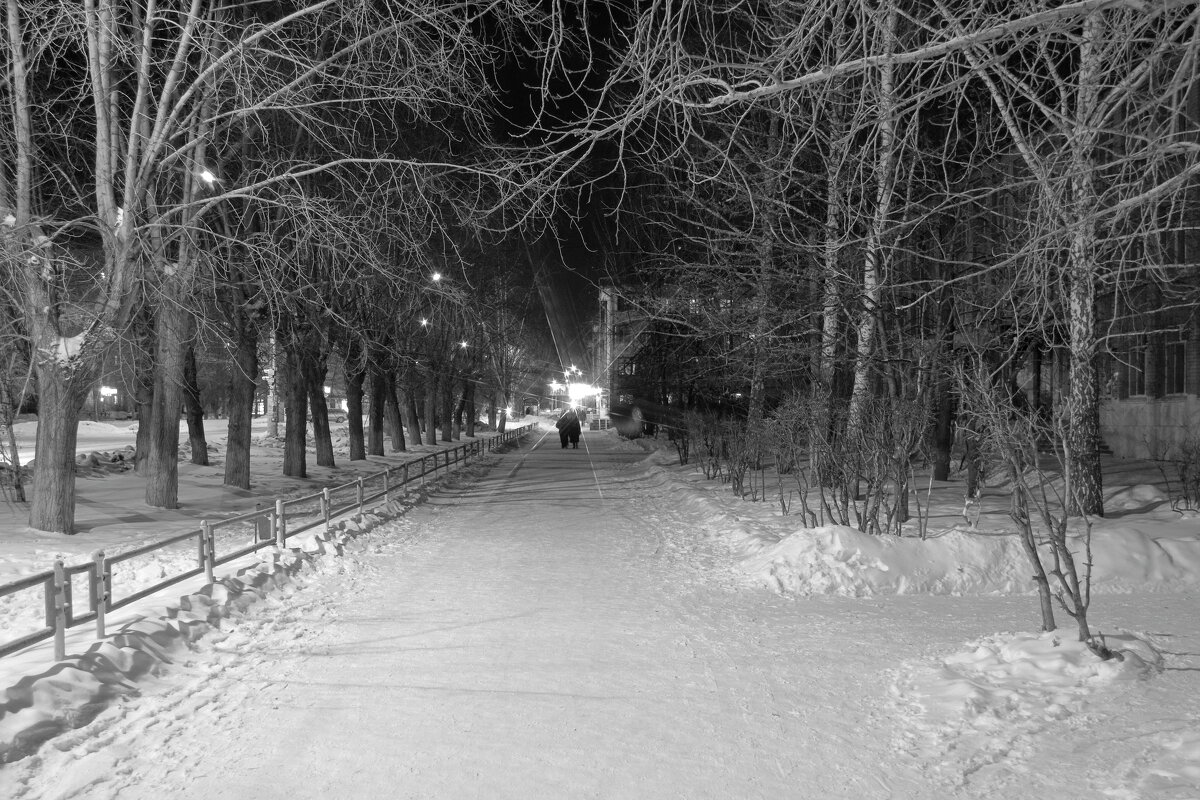 * - Александр Николаев