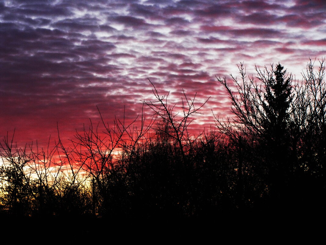 Красивое утро - Людмила Смородинская Красивое утро - Людмила Смородинская