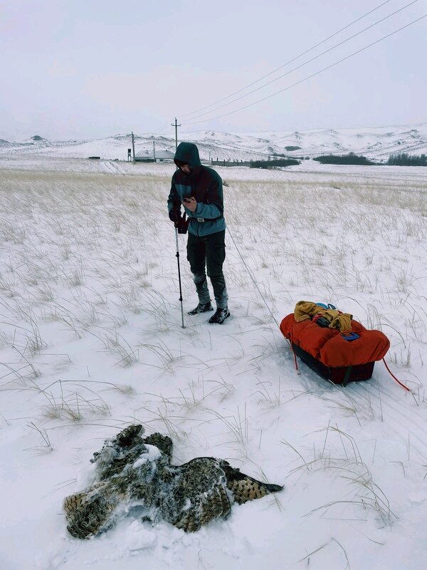 В походе,сильный мороз - Георгиевич 