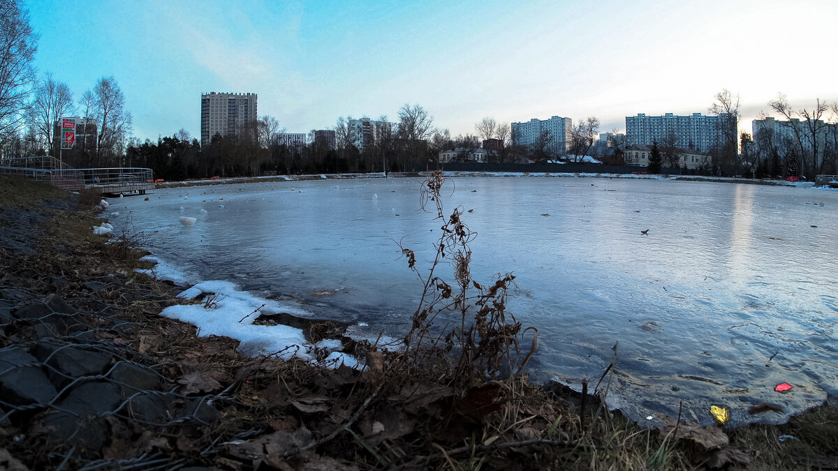 ***** - юрий поляков