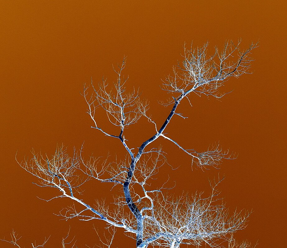 *** - Леонид leo *** - Леонид leo