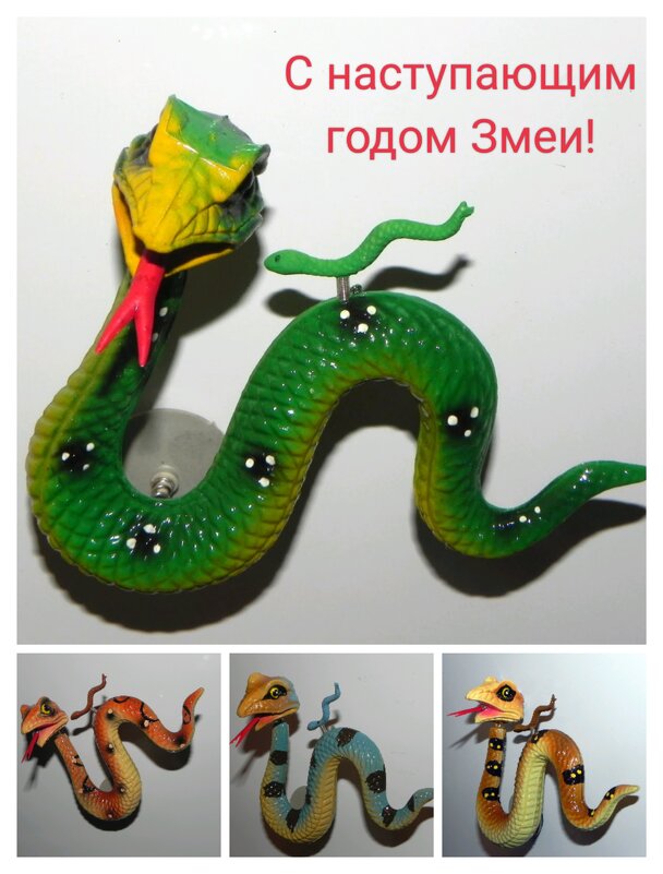 С Новым Годом Годом Змеи! - Светлана Хращевская