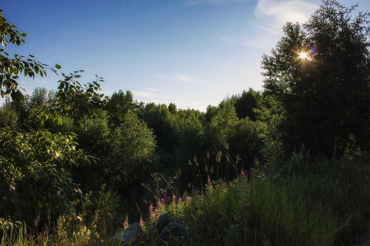 Тот летний день уже почти угас - Дмитрий Костоусов Тот летний день уже почти угас - Дмитрий Костоусов