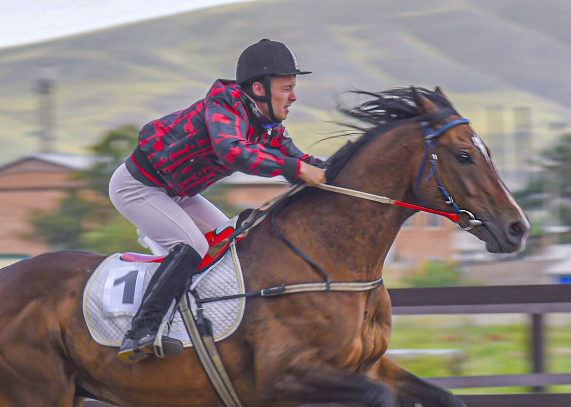 Цель у них одна. - юрий Амосов