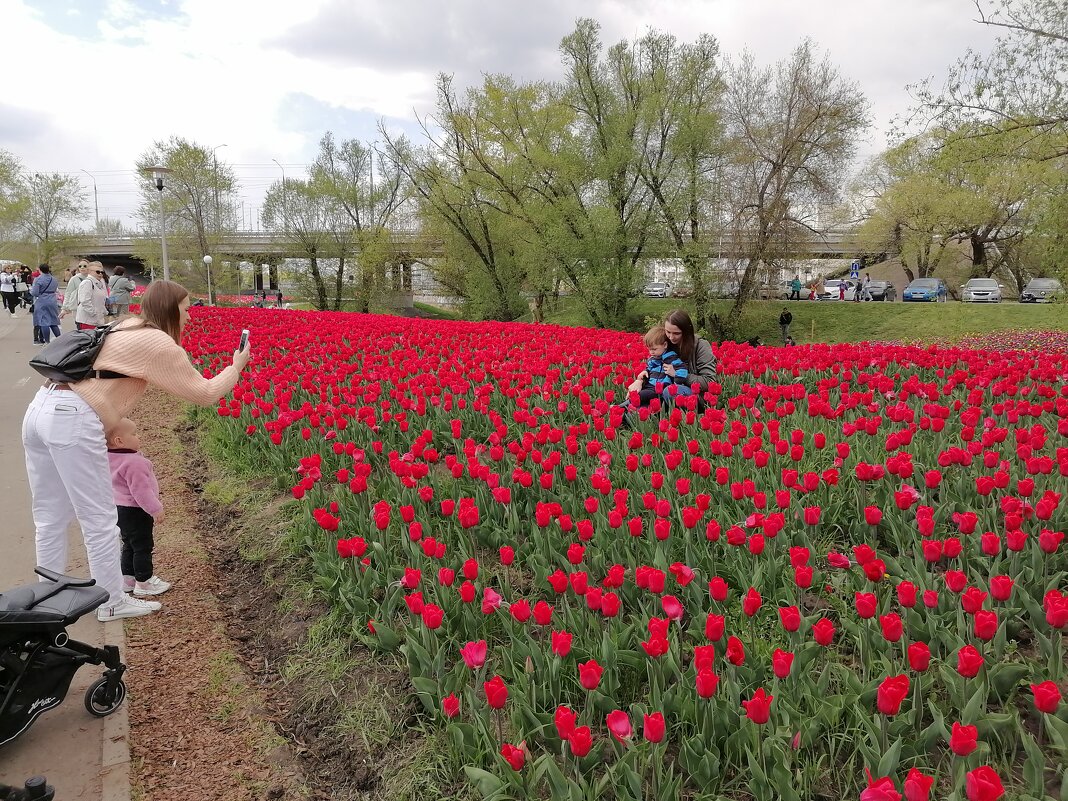 ,,, - Сергей Тимоновский ,,, - Сергей Тимоновский