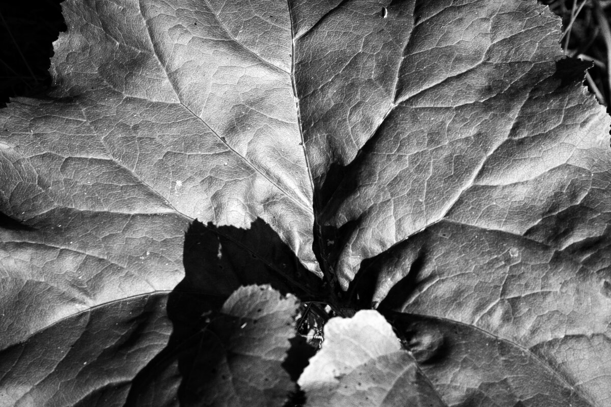 Название отсутствует - Денис Безногов