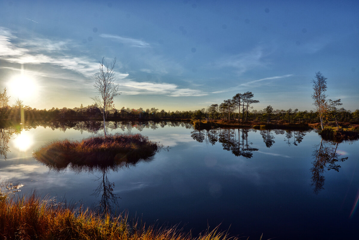 Болото Мох - Виктор Журбенков