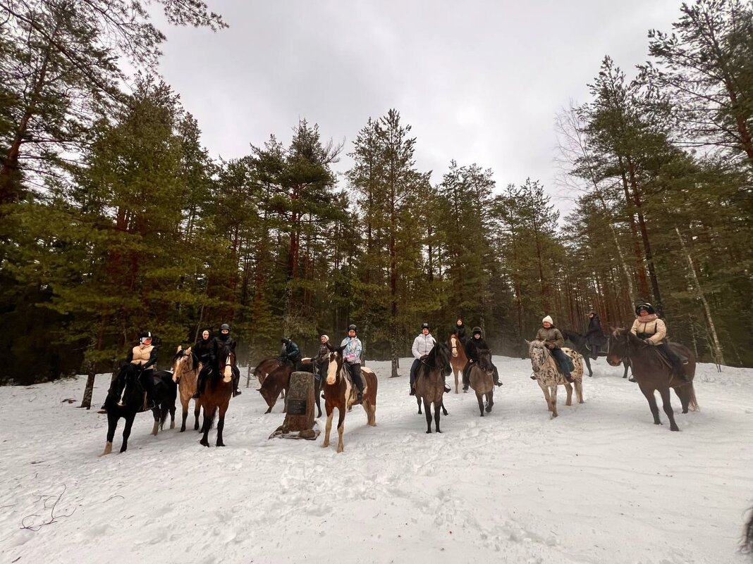 Всадники. - Ольга Всадники. - Ольга