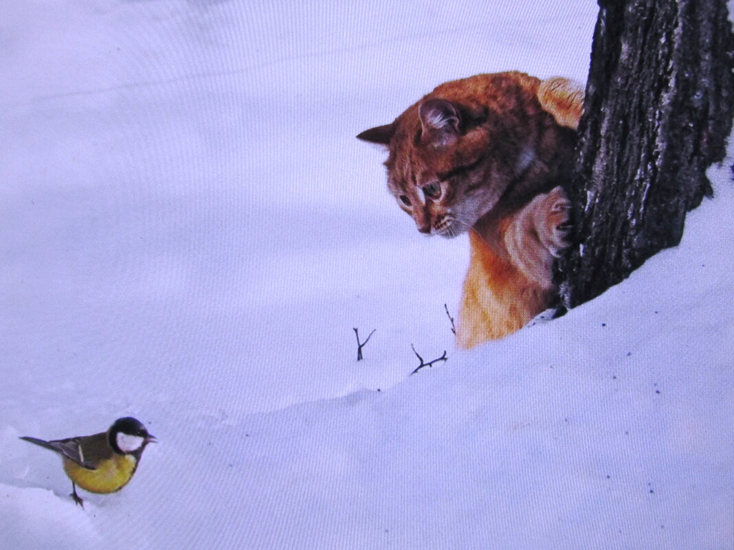 Охотник за синичкой - Людмила Смородинская Охотник за синичкой - Людмила Смородинская