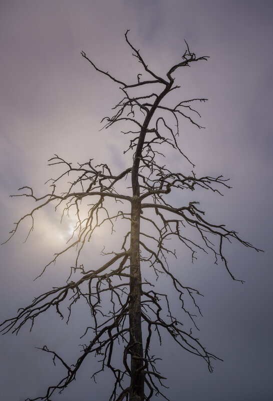 * - Александр Иванов * - Александр Иванов