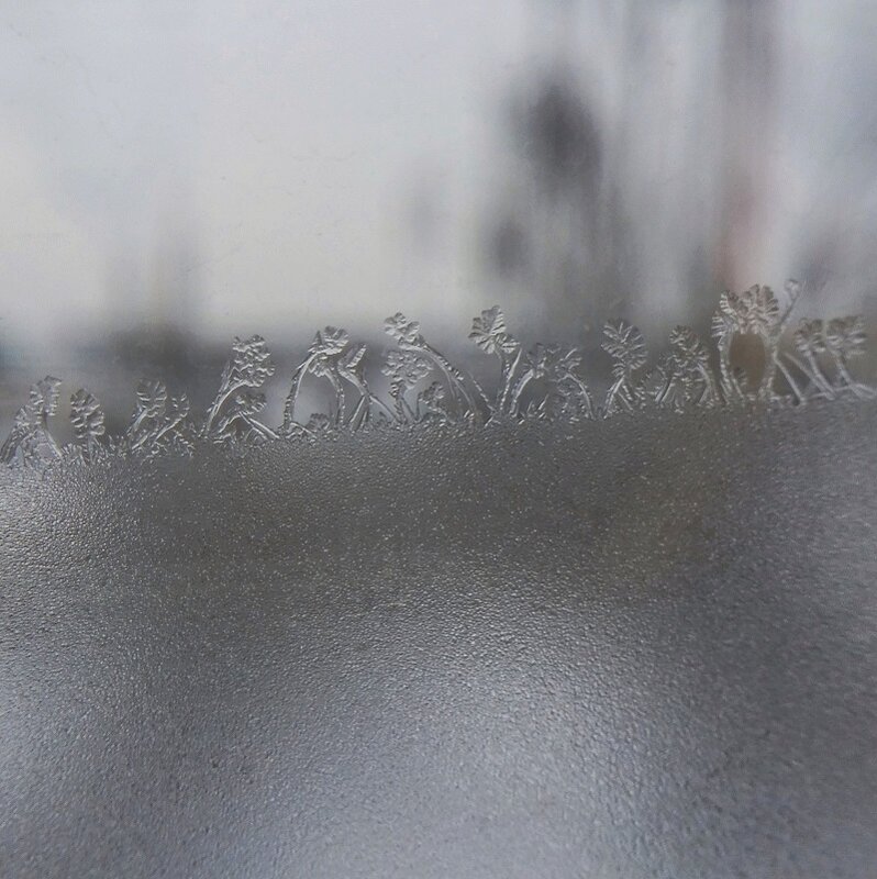 "зимний сад" - Александр Кольцов "зимний сад" - Александр Кольцов