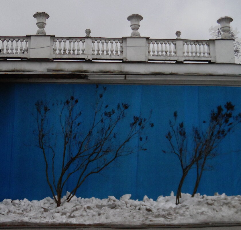 Зима в городе 2025 - Галина 