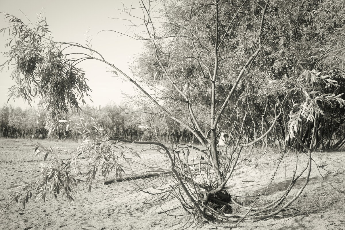 Название отсутствует - Денис Безногов