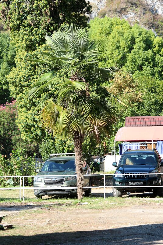 Абхазия - Андрей Л. В. Абхазия - Андрей Л. В.