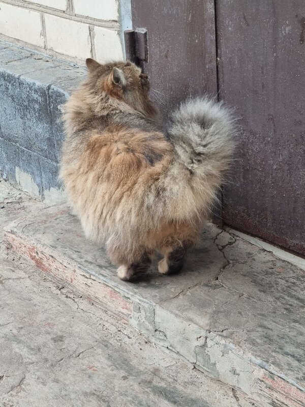 Открывай быстрее! - Наталья Открывай быстрее! - Наталья