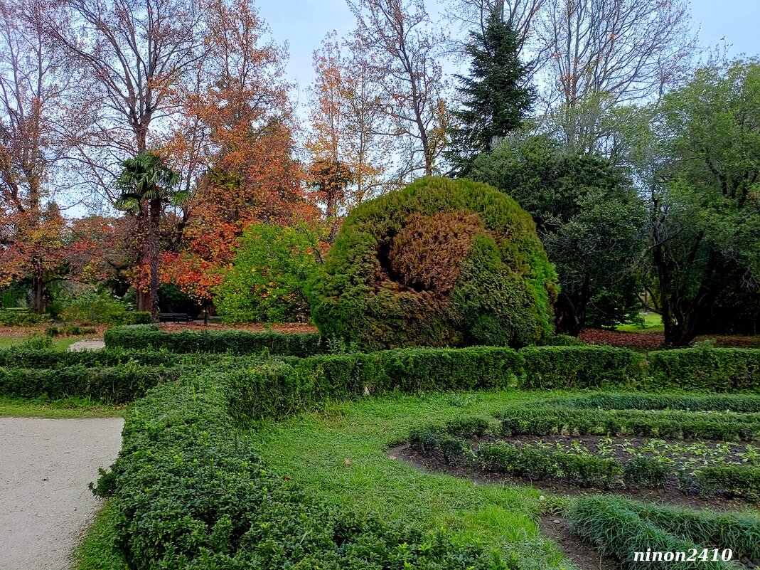 Адлер. Дендропарк "Южные культуры" - Нина Бутко