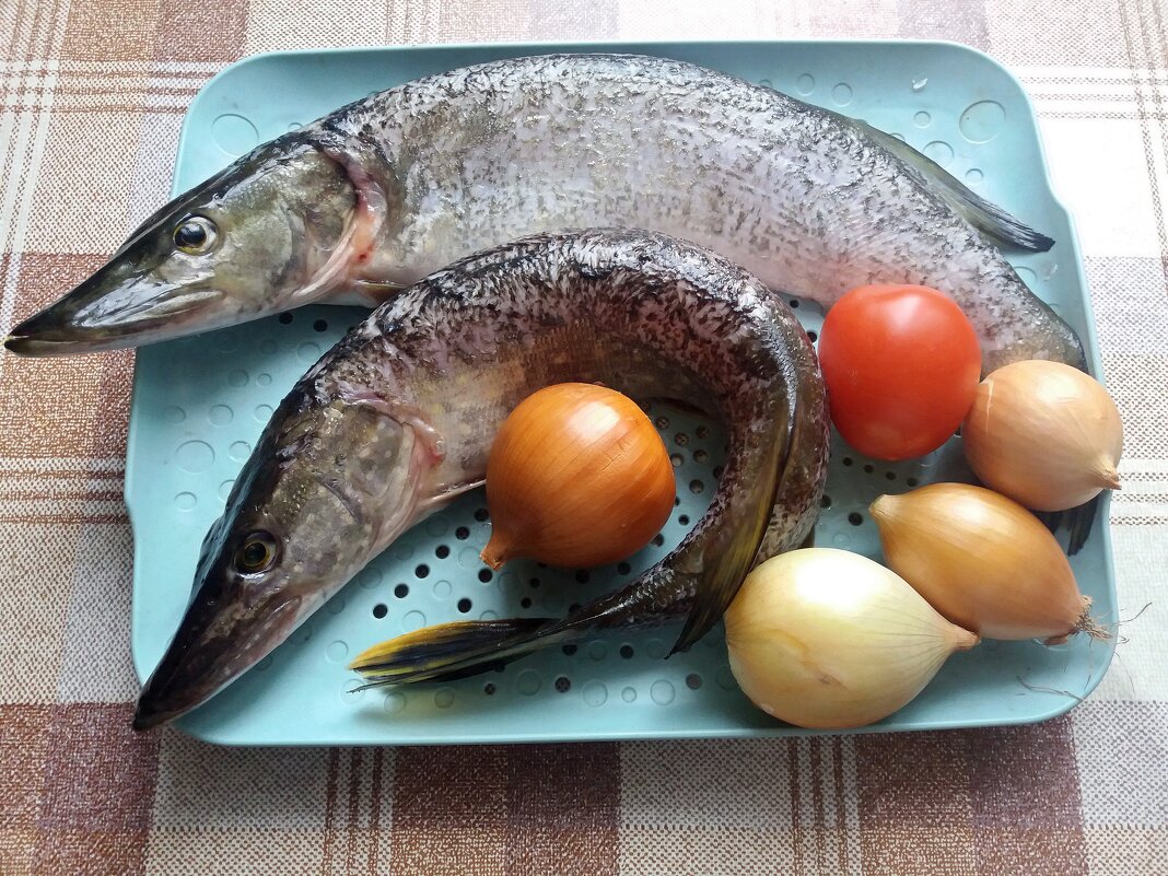 Щучки - Galina Solovova Щучки - Galina Solovova