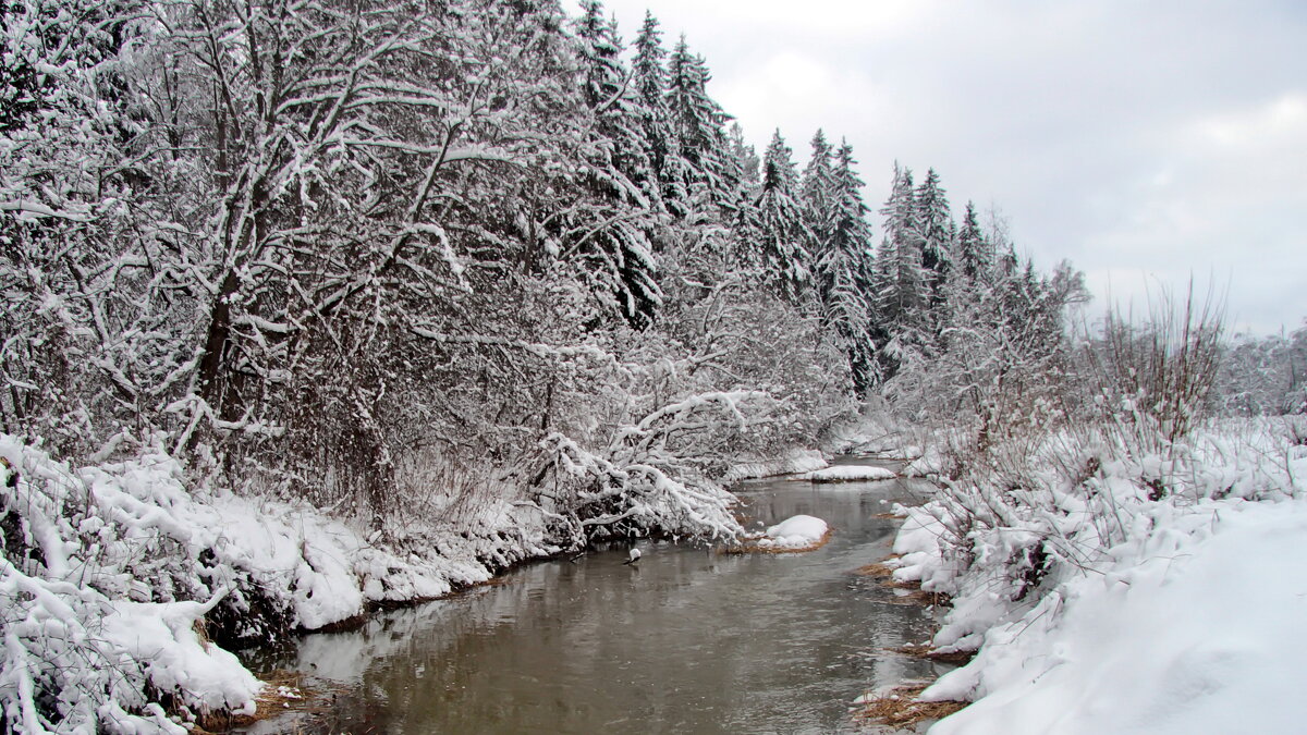 Зима. - Маргарита ( Марта ) Дрожжина