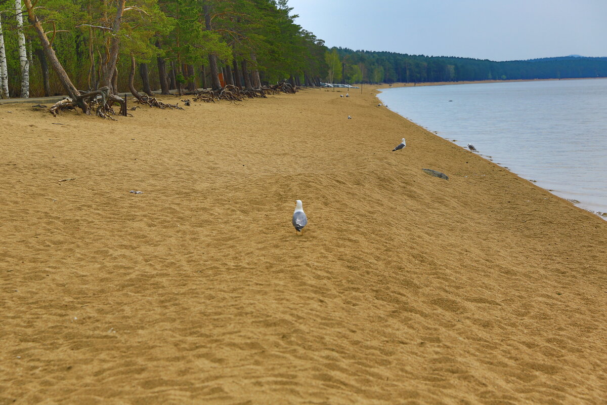 * - Евгений +