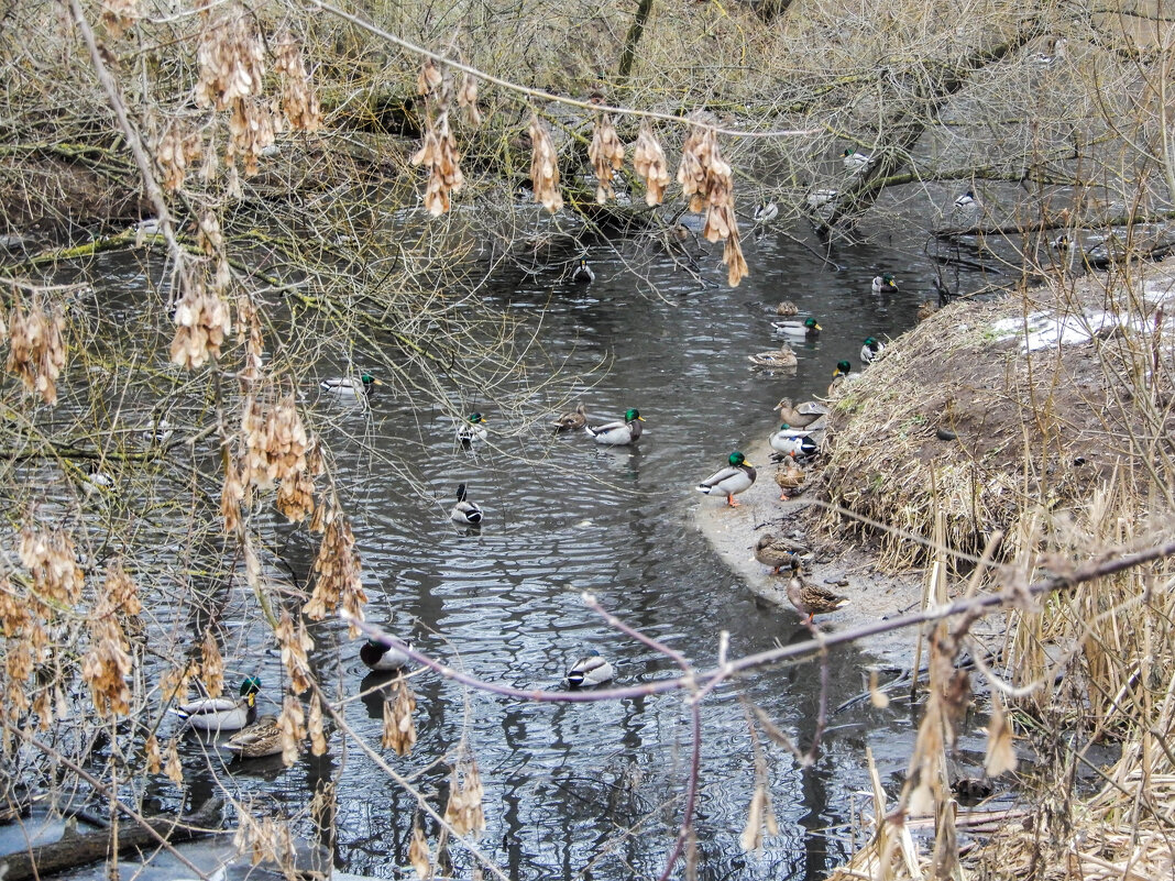 укромное место - Сергей Лындин укромное место - Сергей Лындин