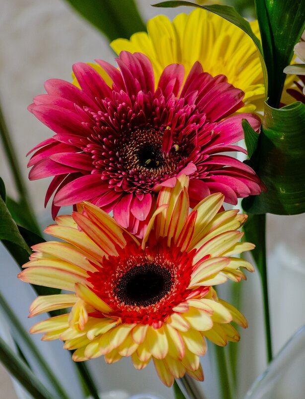 *** - Виктор Иванович Чернюк *** - Виктор Иванович Чернюк