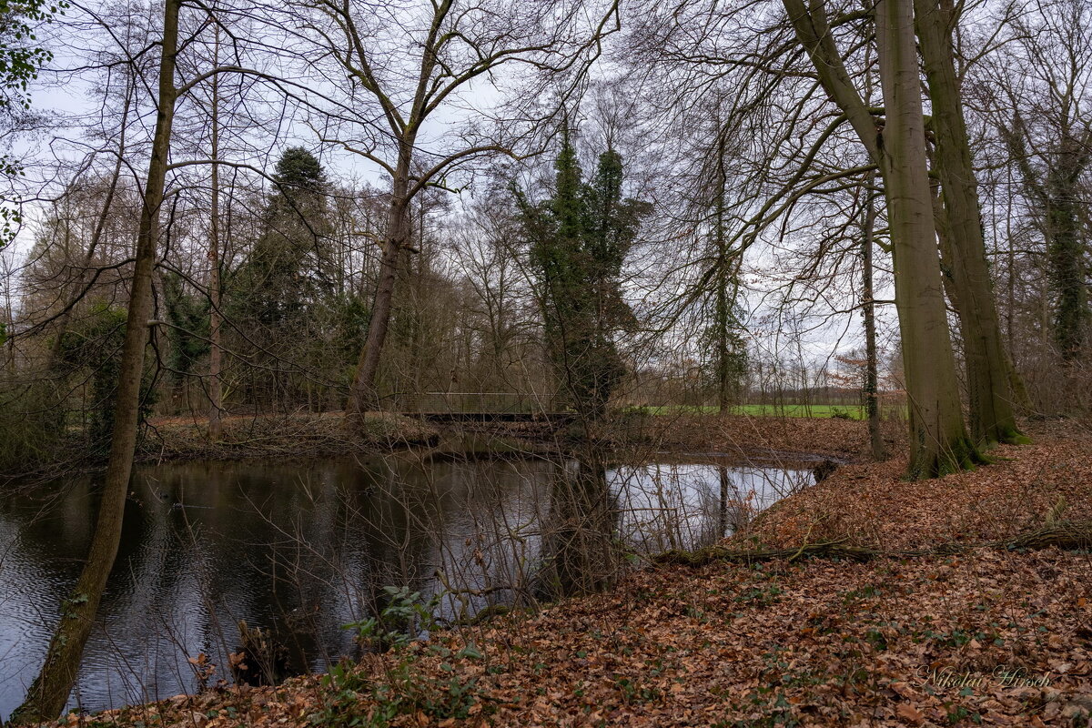 Шагая по январю... - Николай Гирш