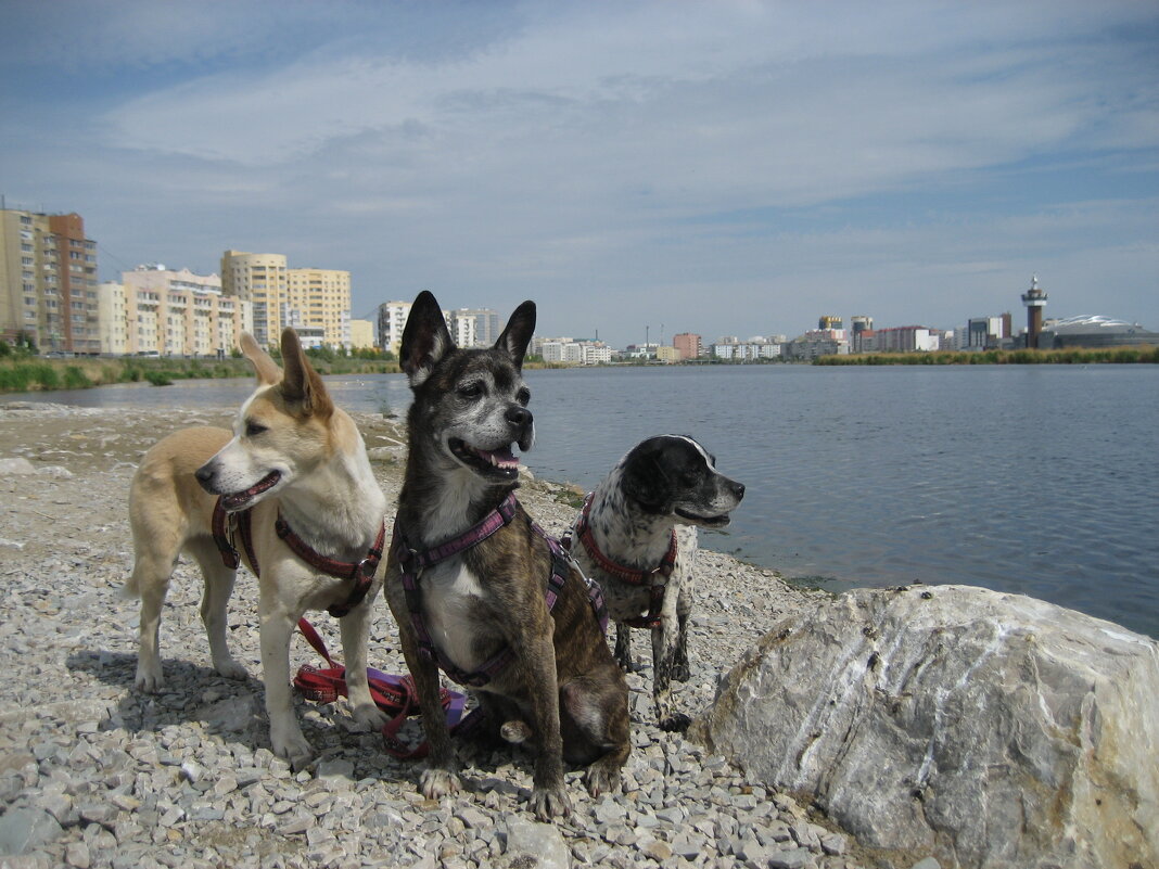 Жара - Anna Ivanova