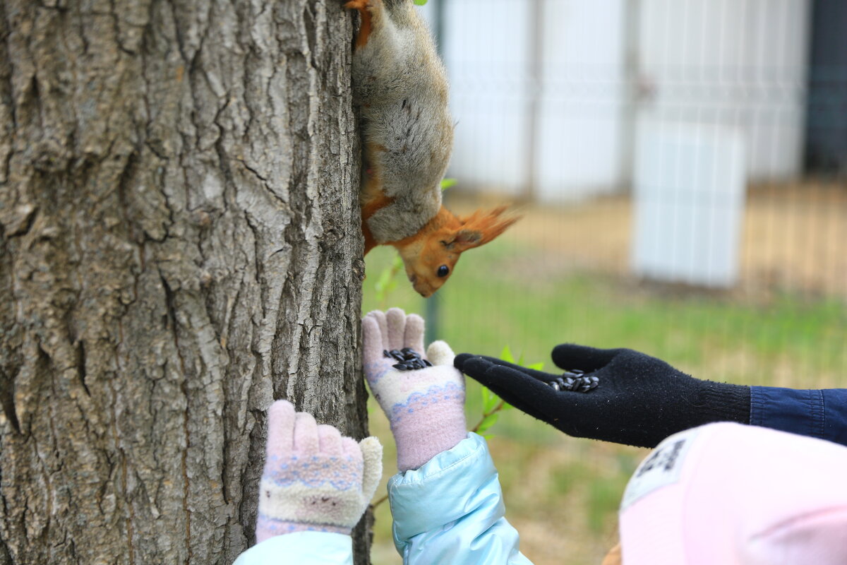 * - Евгений +