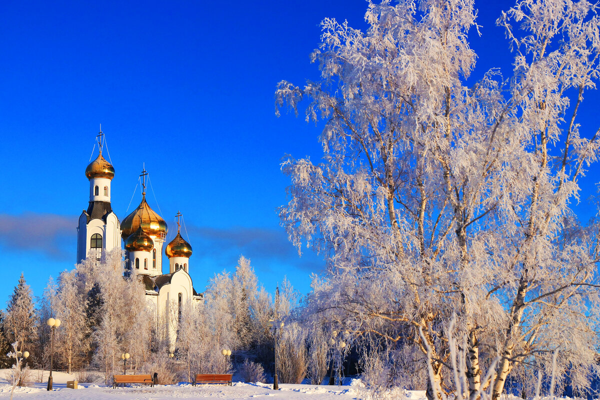 Январь...Свято-Духов храм и береза в инее! - Владимир 